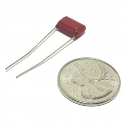 MICA CAP 250V 0.001UF 2PCS