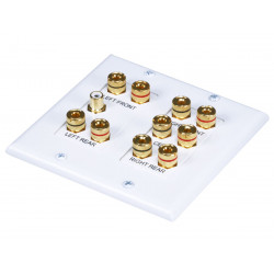 WALL PLATE SURROUND SOUND 2-GANG 5.1