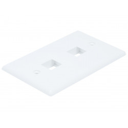 WALL PLATE 2 JACK SJ-702