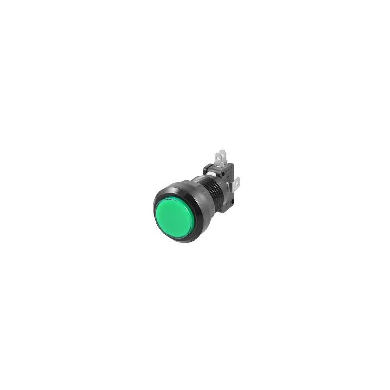 PUSH BUTTON SWITCH GREEN W/ MICRO SWITCH 12V LED