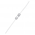 FUSE, MINI, 2A, SLOW, 3.6X10MM, W/LEADS, PKG/2