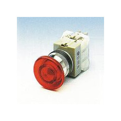 PUSH BUTTON MOMENTARY ILLUMATED 110V