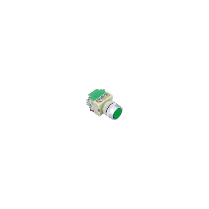 PUSH BUTTON, W/ 12V LED, MOMENTARY, Y090-GS