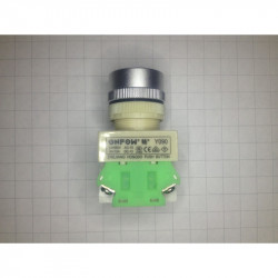 PUSH BUTTON, W/ 12V LED, MOMENTARY, Y090-RS