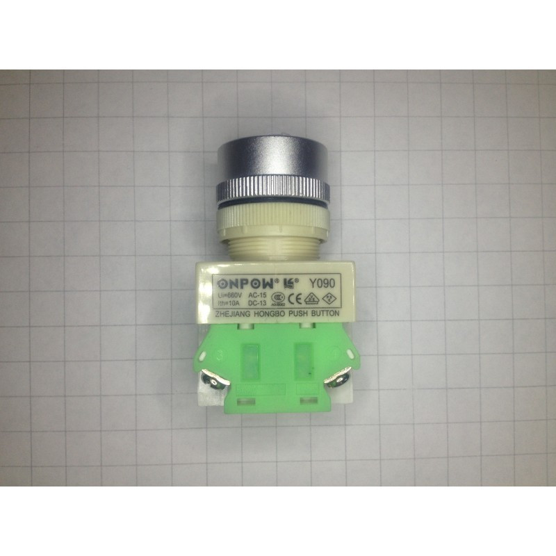 PUSH BUTTON, W/ 12V LED, MOMENTARY, Y090-RS
