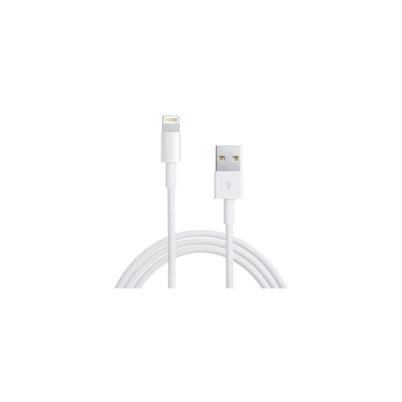 USB CABLE 2.0 TO IPHONE5 LIGHTNING 3FT