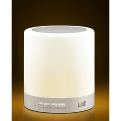 PORTABLE DESKTOP TOUCH ON OFF LAMP W/ SPEAKER