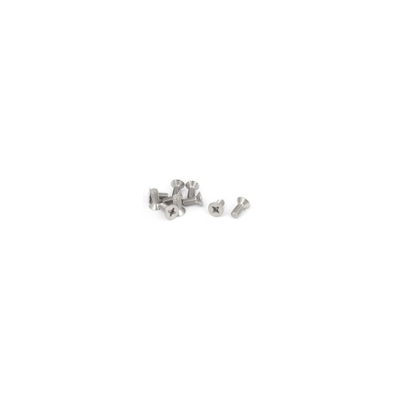 SCREW 2.5X10 FLAT 10PCS