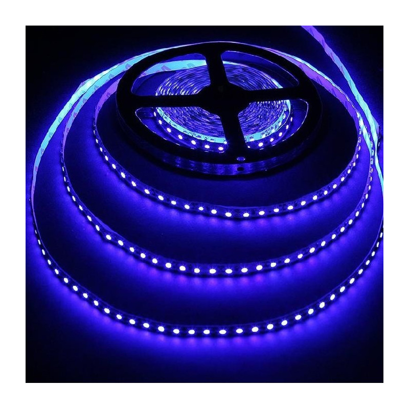 LED STRIP, 5050, 12V, W/ TUBING, BLUE, 1M