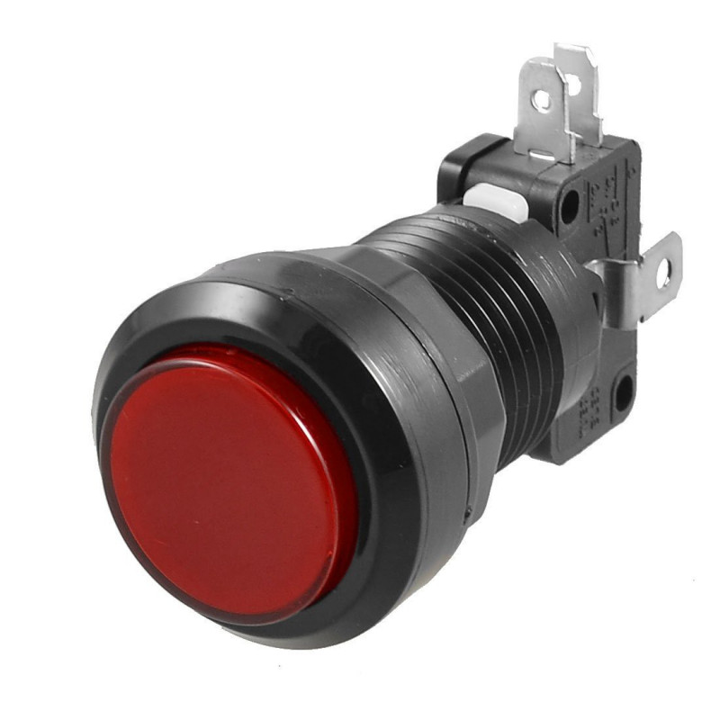 PUSH BUTTON SWITCH RED W/ MICRO SWITCH 12V LED