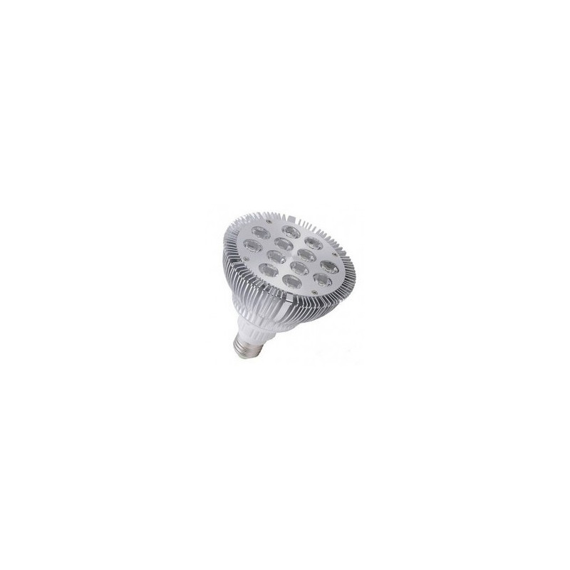 LED PAR38 12W COLD WHITE