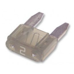 AUTO FUSE (MINI) 2A