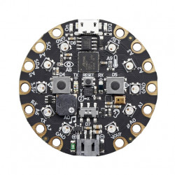 CIRCUIT PLAYGROUND EXPRESS