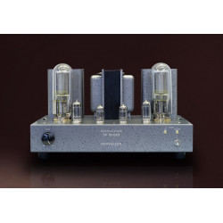 SUN VALLEY VACUUM TUBE AMPLIFIER KIT SV-S1628D, 845/211