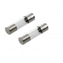 FUSE, FAST, 250V 2A, 5X20MM, 2PCS