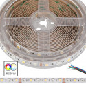 LED STRIP 5050 12V RGBW W/TUBING - 1M