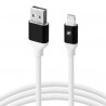 USB2.0 TO LIGHTNING CHARGING CABLE 10FT