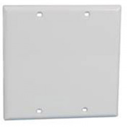 DOUBLE GANG BLANK WALL PLATE