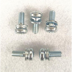 PHILIPS SEMS SCREW, M6 X...