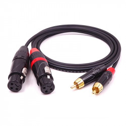 AUDIO CABLE, 2 XLR (F) TO 2...