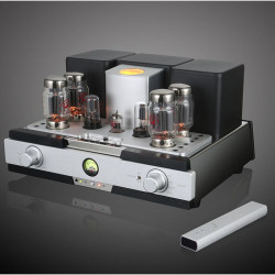 YAQIN TUBE AMPLIFIER, MS-88...