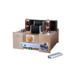 YAQIN TUBE AMPLIFIER,...