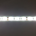 LED STRIP, 5050, 12V, W/ SILICON, COLD WHITE - 1M