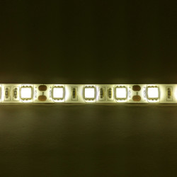 LED STRIP, 5050, 12V, W/...