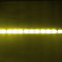 LED STRIP, 5050, 12V, W/ TUBING, YELLOW - 1M