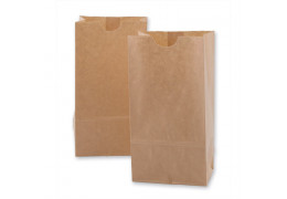 Switching to Paper Bags in 2022